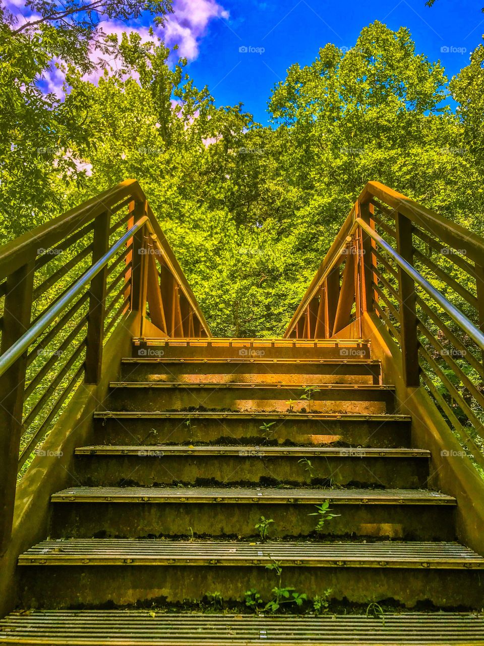 Bridge and bright green trees