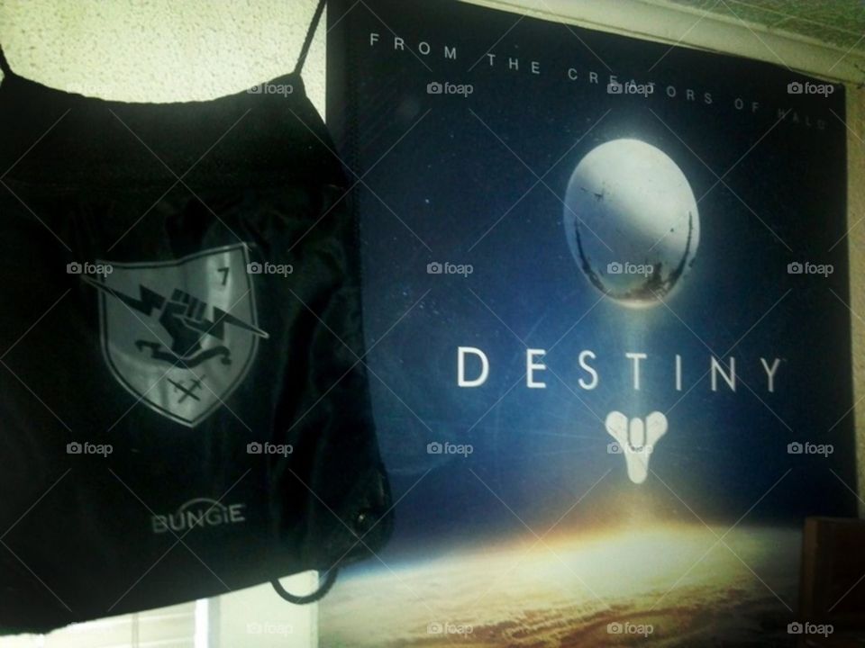 Destiny The Game