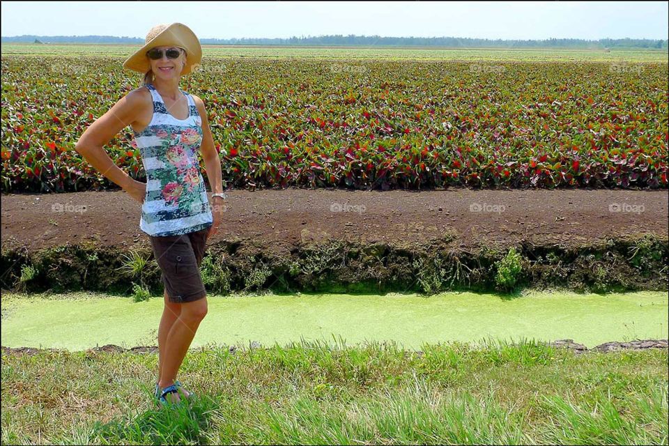 Woman in a cute fashion outfit in front of caladium fields.