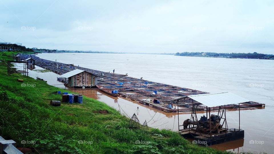 floating basket in riverside. floating basket farm fish in maekong riverside , thailand