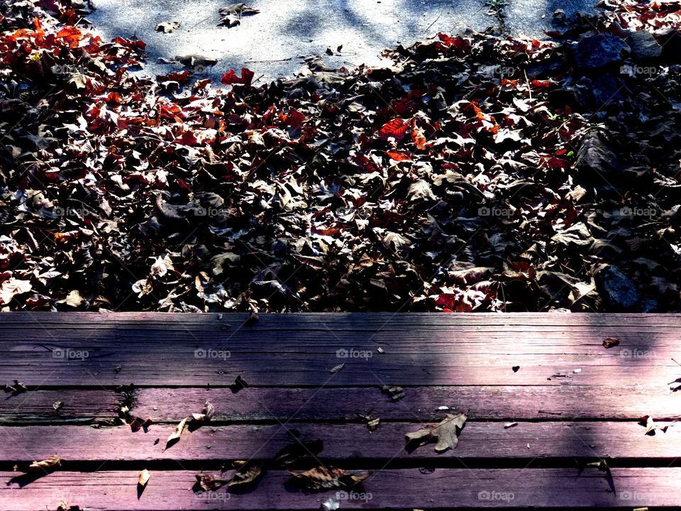 Overhead view of wooden steps and fallen leaves on sidewalk