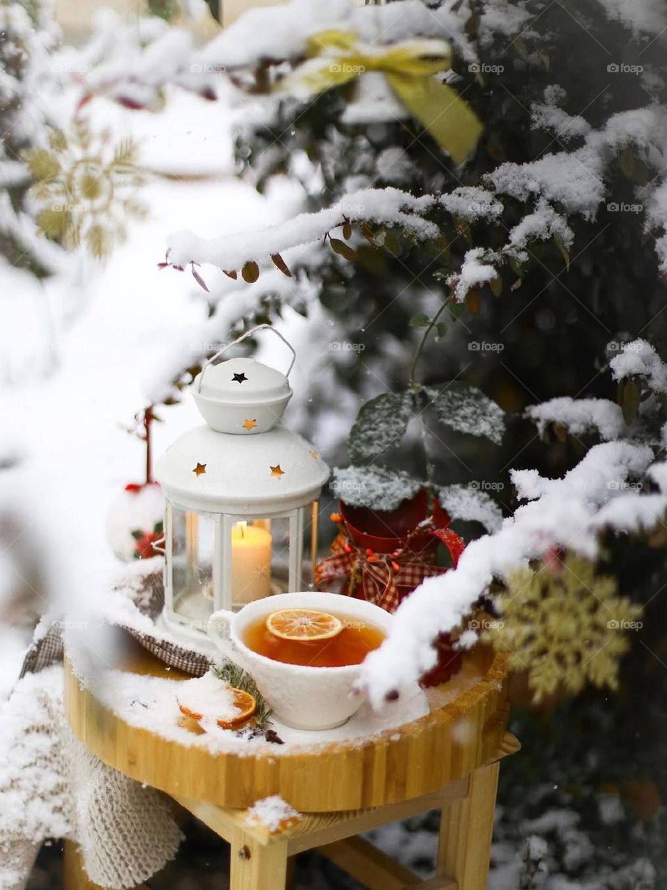 The pure, calm, white beauty of the Winter with quiet wisdom in a cup of tea....
