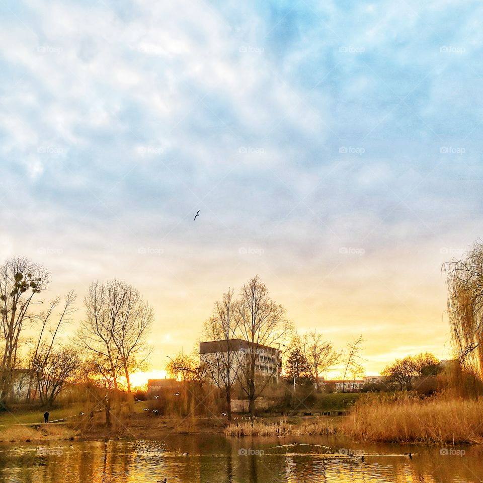 Flying over the town.