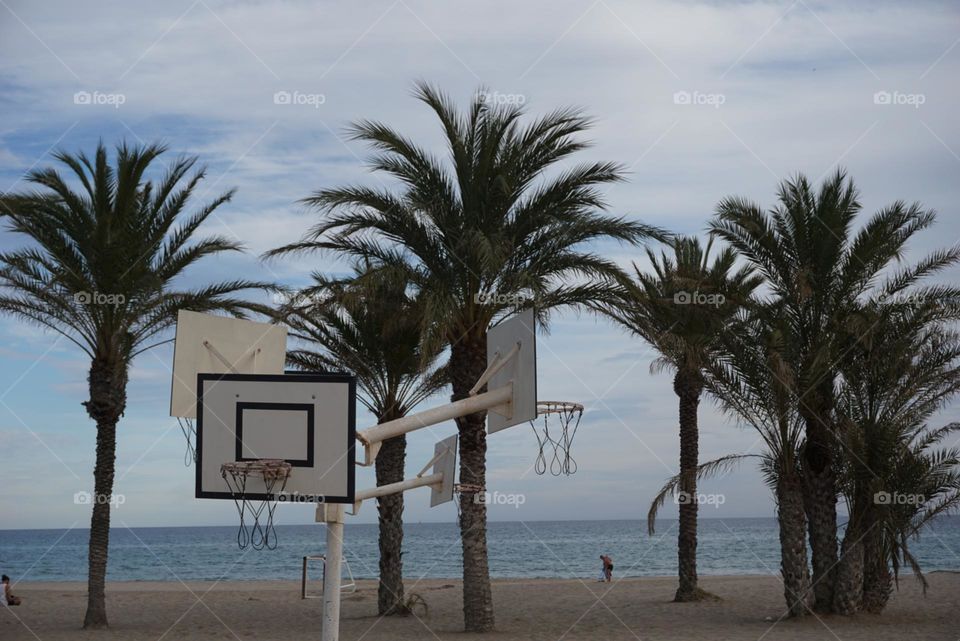 Basketballnet#beach#palms