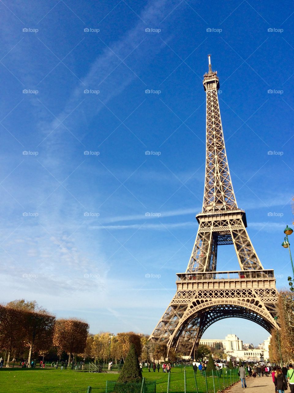 The Eiffel Tower 