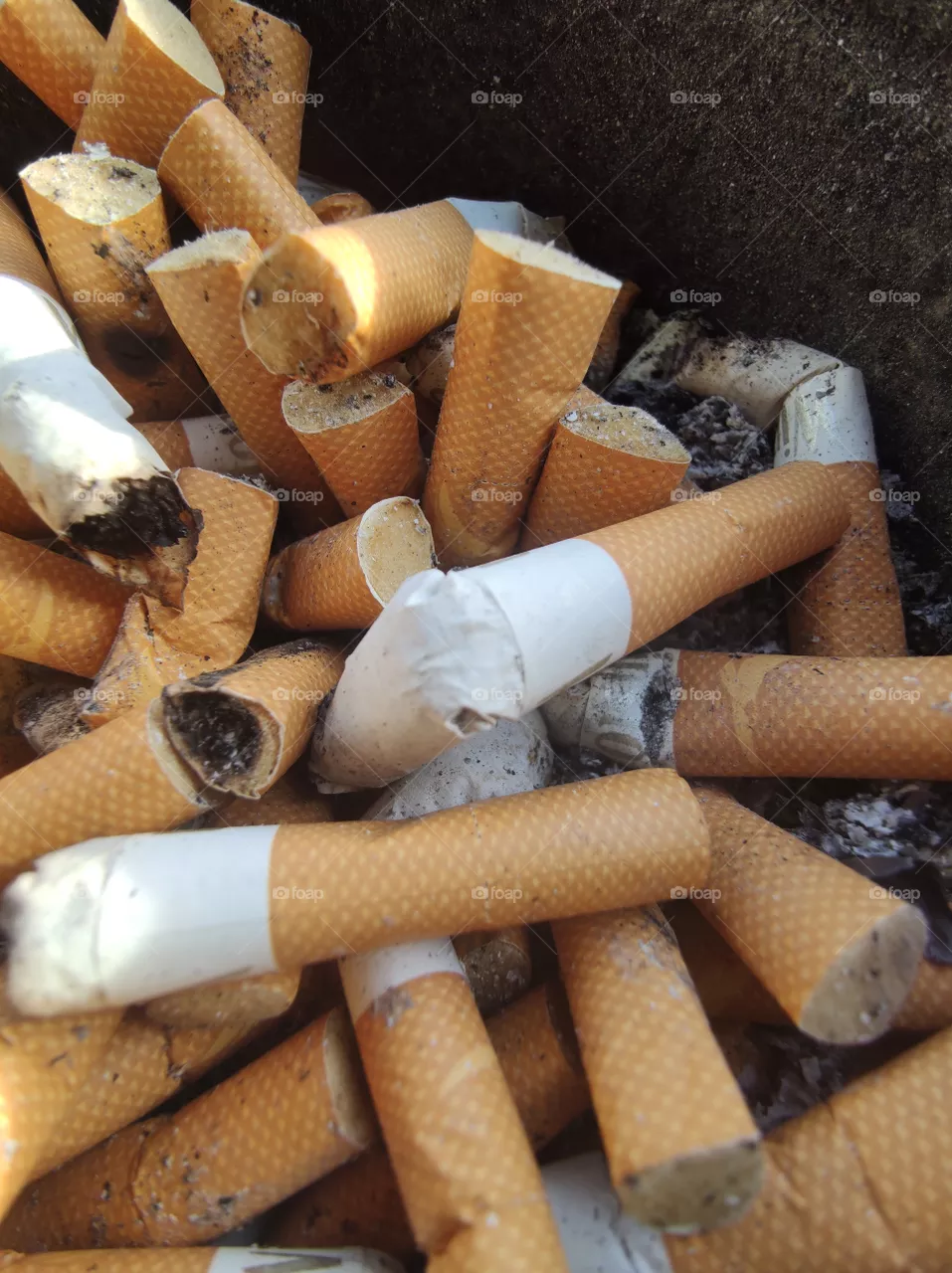 cigarette butt