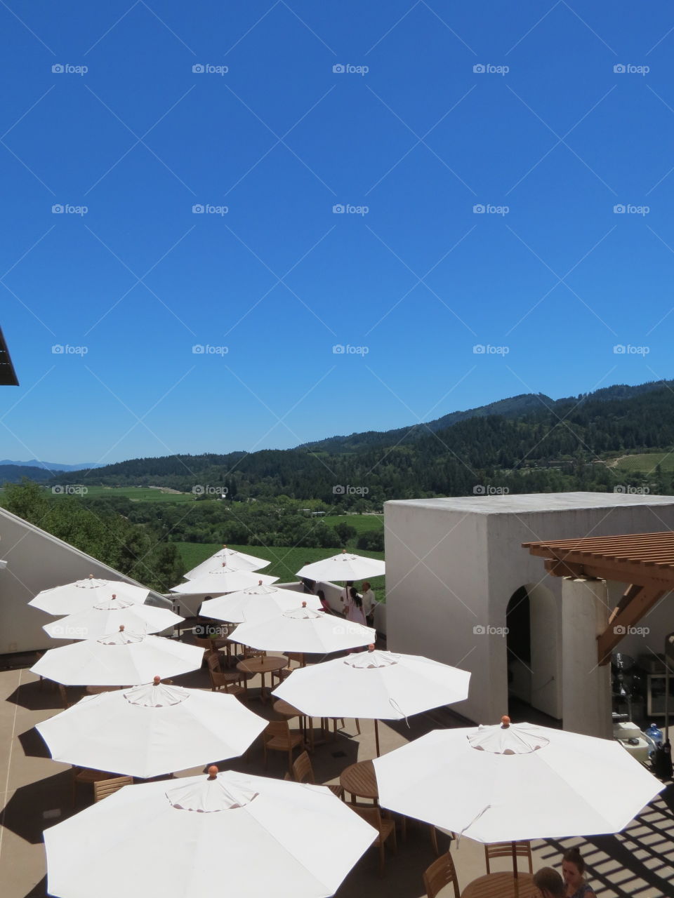 Enjoying, Friendship, Group, Vino, Red Wine, Wine, Summer Blue Sky, Table of Wine, Wine Glasses, White Umbrella, Napa, Winery, Celebration, Wine Tasting, St Helena, California, North Bay, Bay Area, View, Scenic View, Hill Top View
