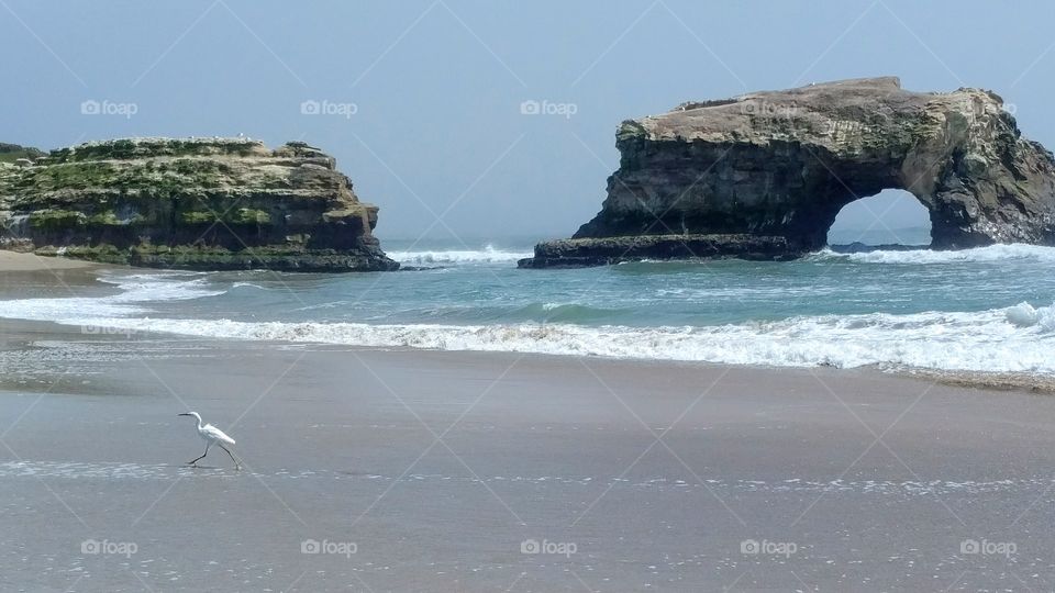 Natural Bridges States Park