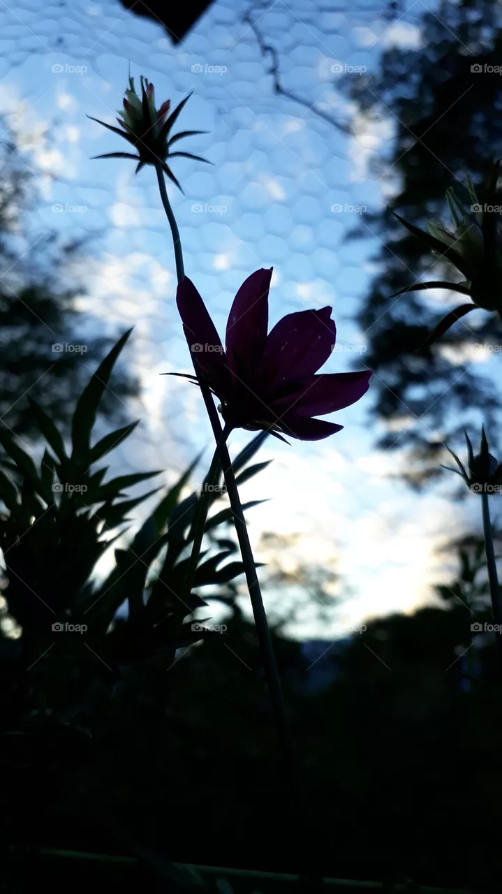 wonders of nature
