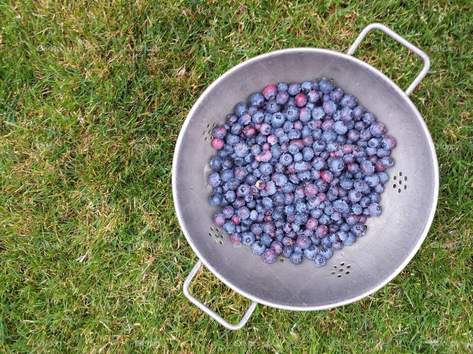 Colander with blueberries
