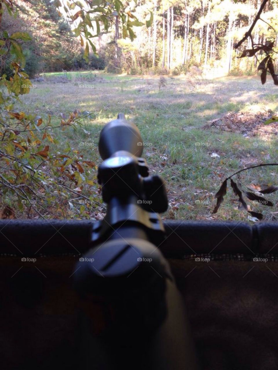 Scope's up. Hunting whitetail deer with a 7mm-08 rifle