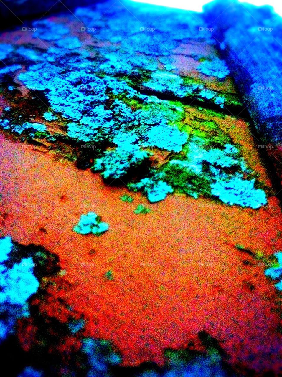 colorful decay