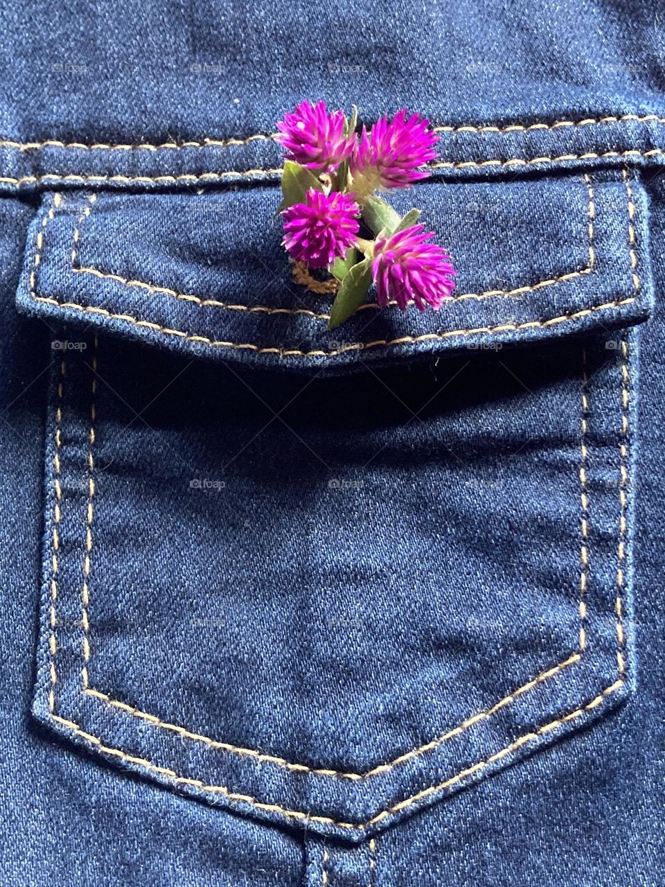 Flores pink de perpétua com algumas folhinhas verdes dentro do bolso da jaqueta jeans azul. Flor substituindo o botão.