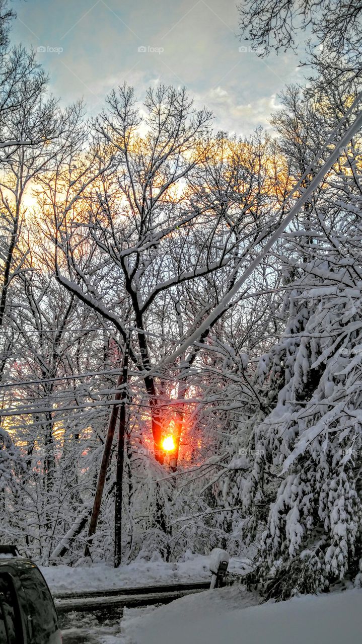 Snowy Sunset