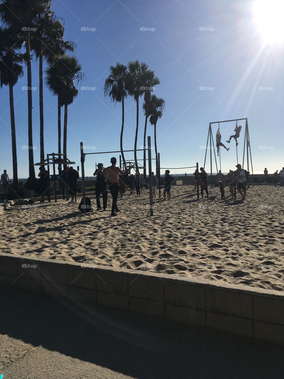 muscle working 
Venice beach CA USA