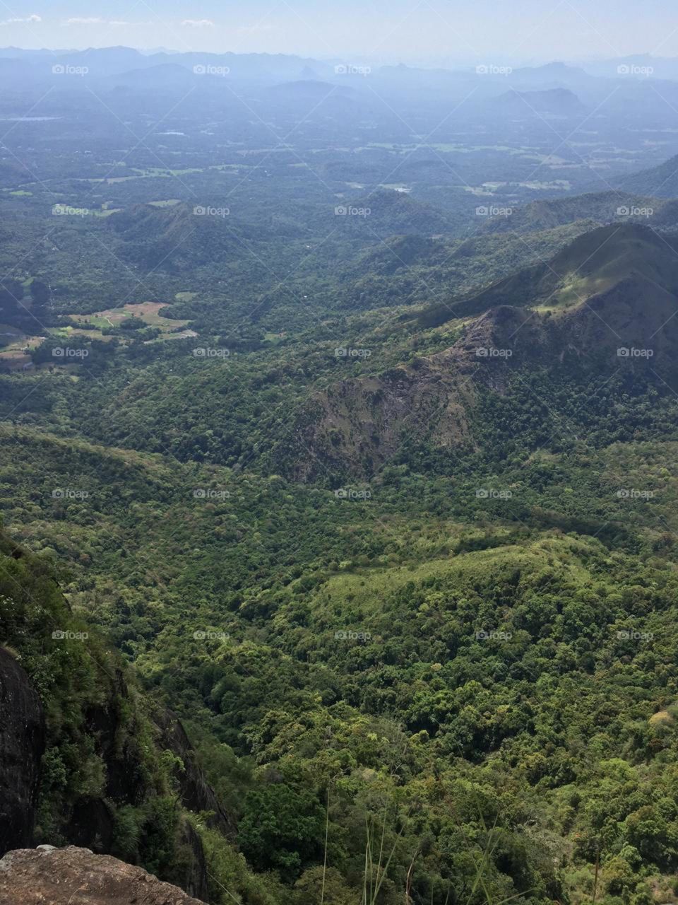 Nature create beauty