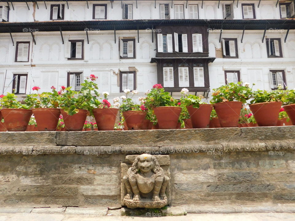flower pots artistically placed in front of old building in nepal