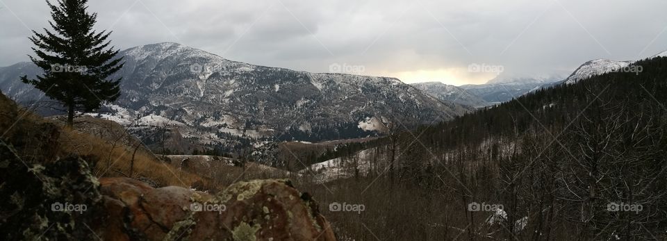 overlooking Beaver Pond