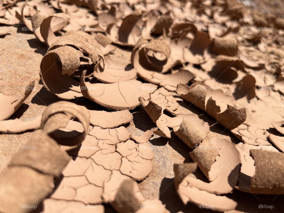 Everything has beauty