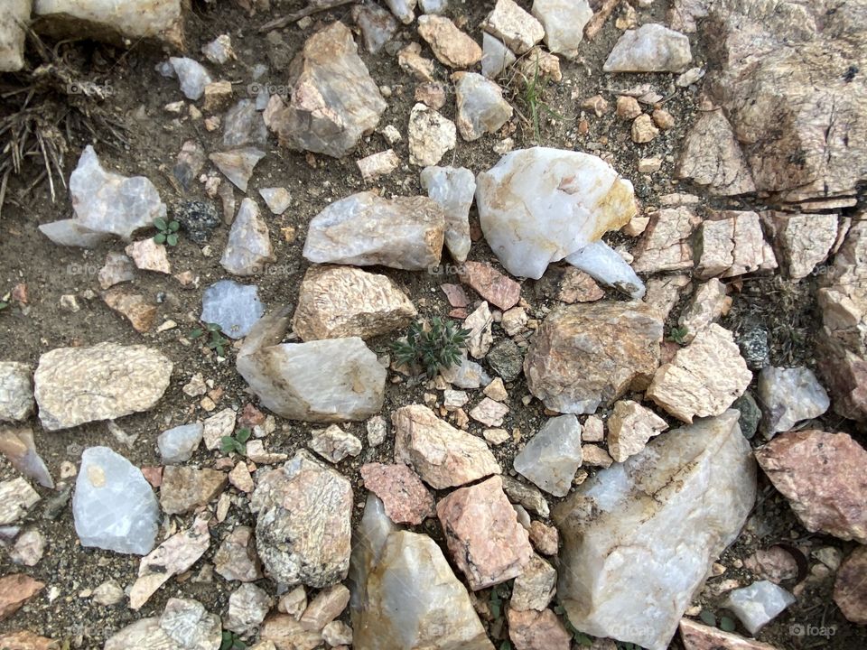 Amazing photo for desert 🌵