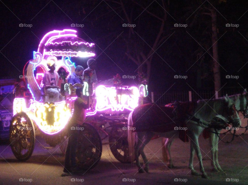 indian marriage occasion ceremony groom's vehicle Rath, different patterns of lighting horse decorated with artificial jewelry