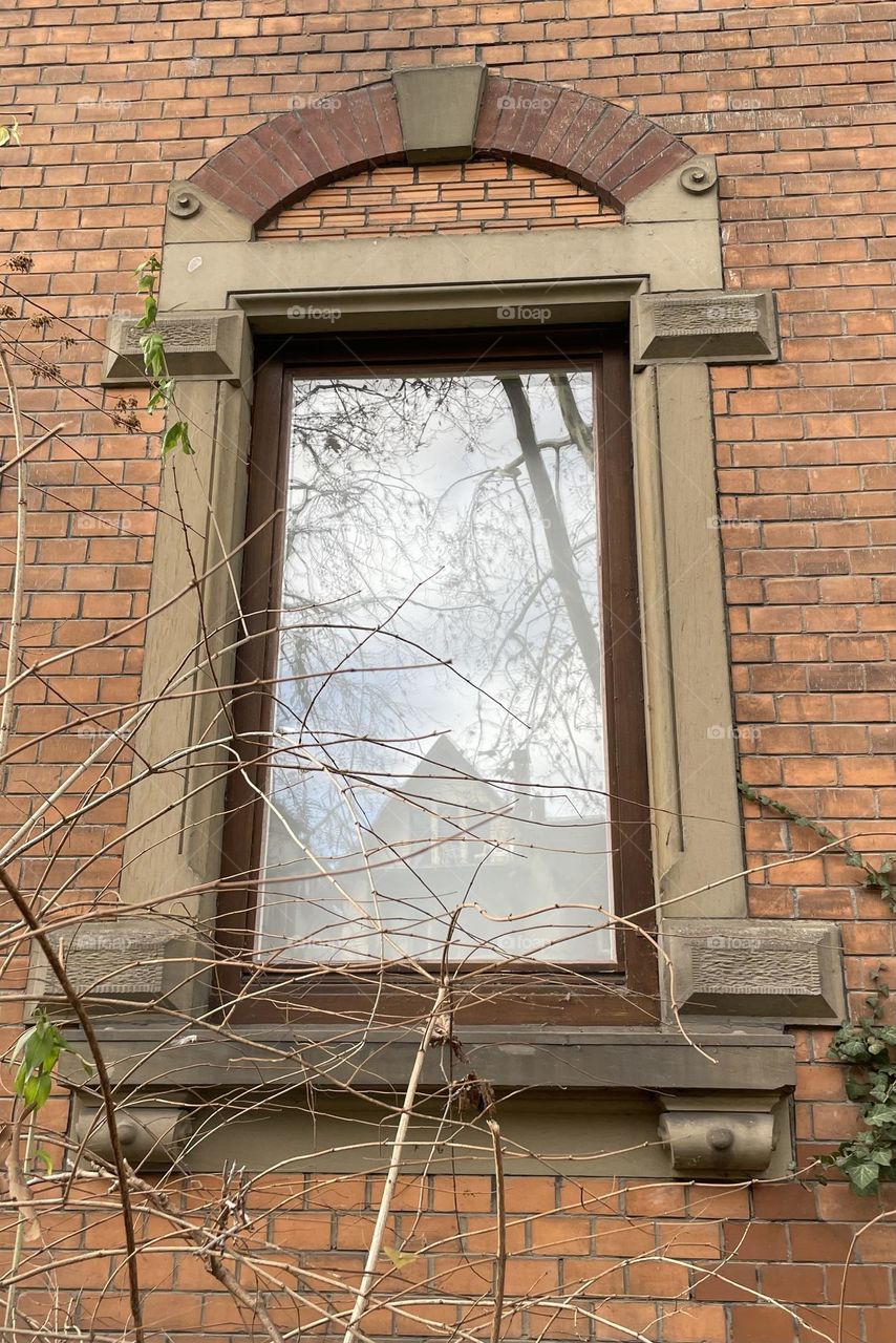 “Happiness is the biggest window a house can ever have!” Mehmet Murat ildan