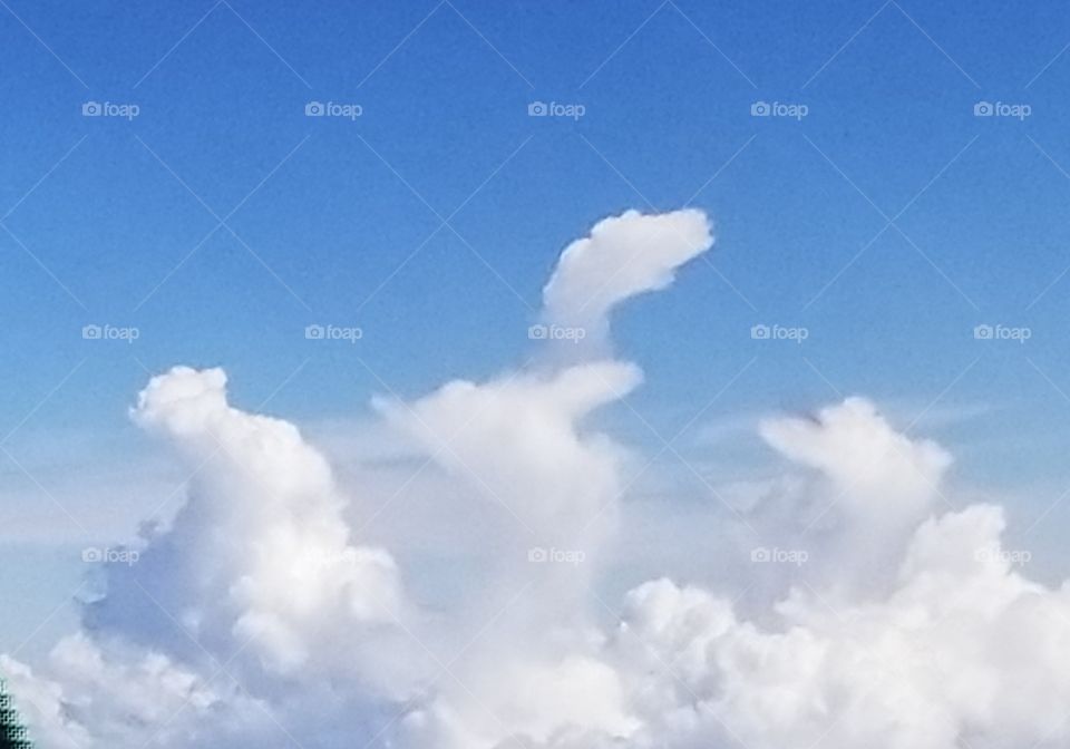 T-Rex in the Clouds