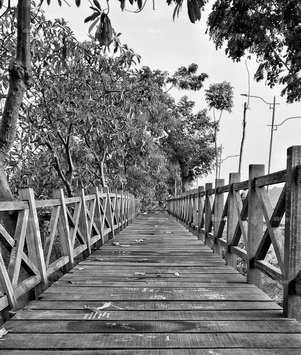 bridge of wood