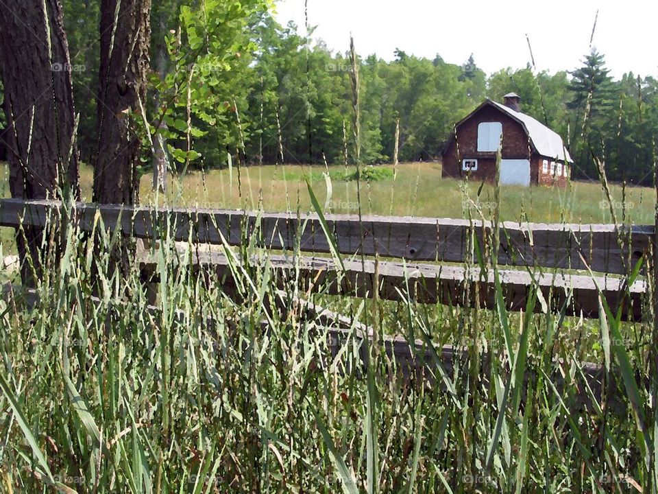 Farm in Maine 