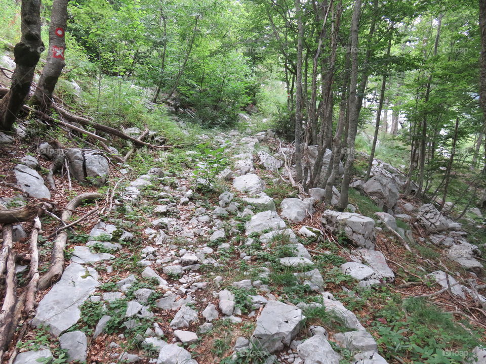 Mountain Orjen Montenegro remain of an old stone path built for Austrohungarian emperor Rudolph