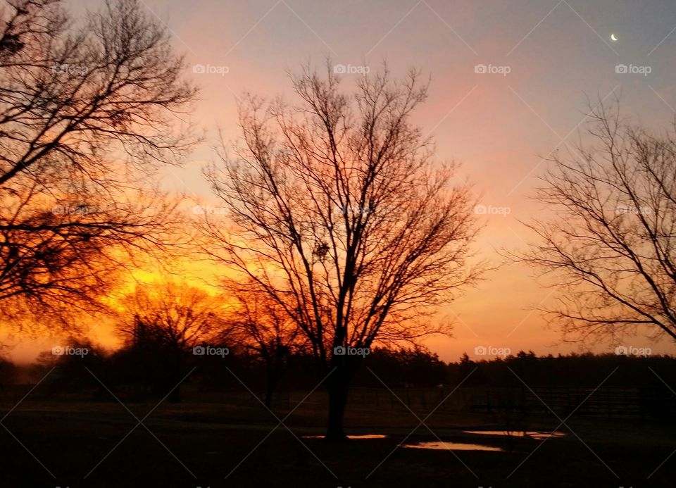 Sunrise after a rain with the moon still out