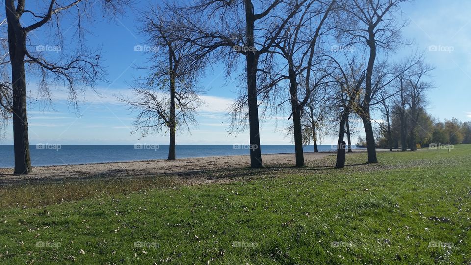 Great November Day, Lake Erie