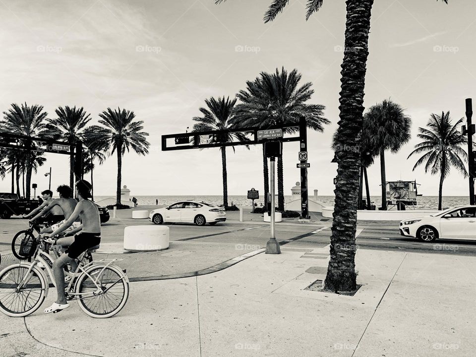 Silver tone photograph of people bike riding in Florida 
