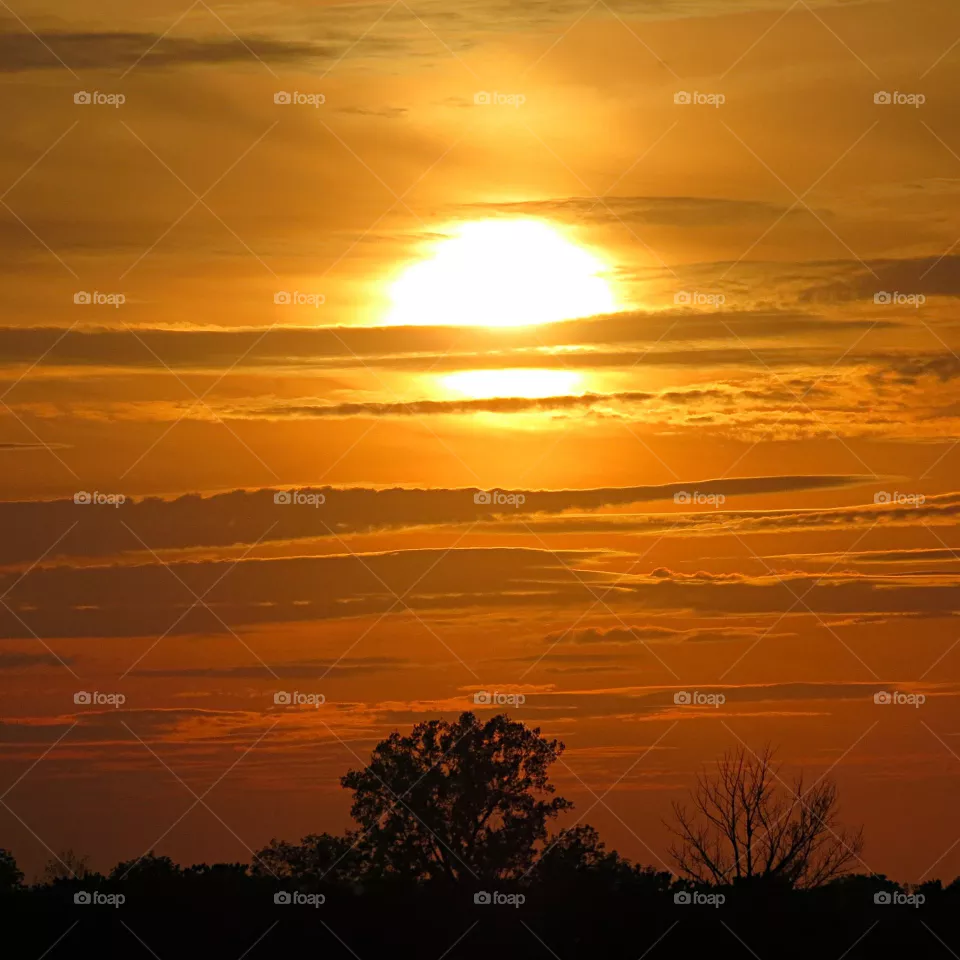 Blistering heat