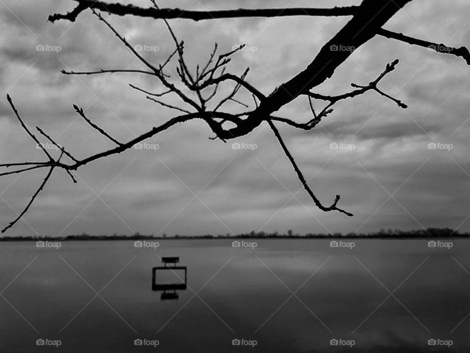 Black and white landscape