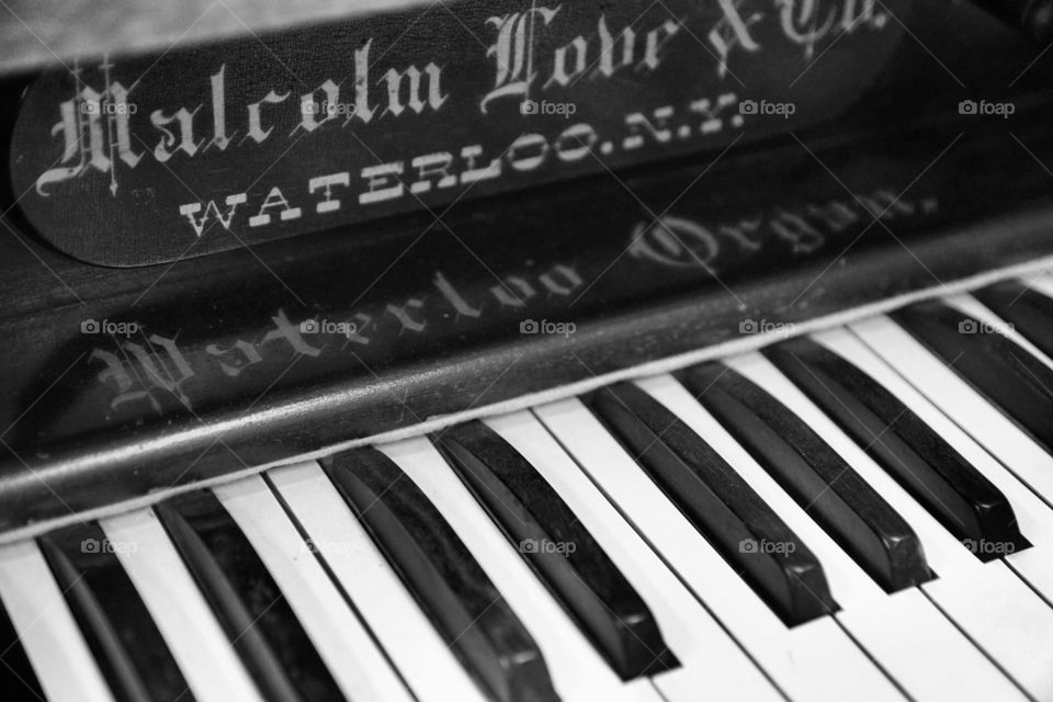 Organ keys