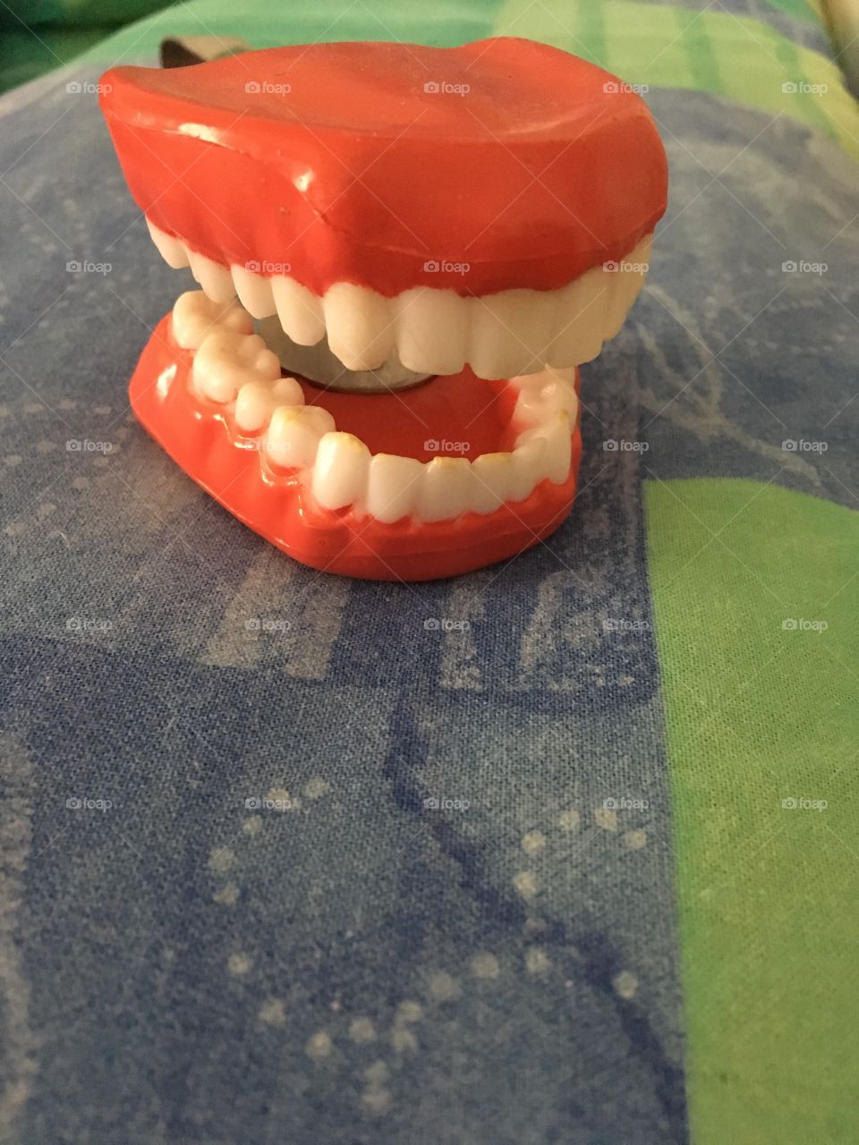 Teeths