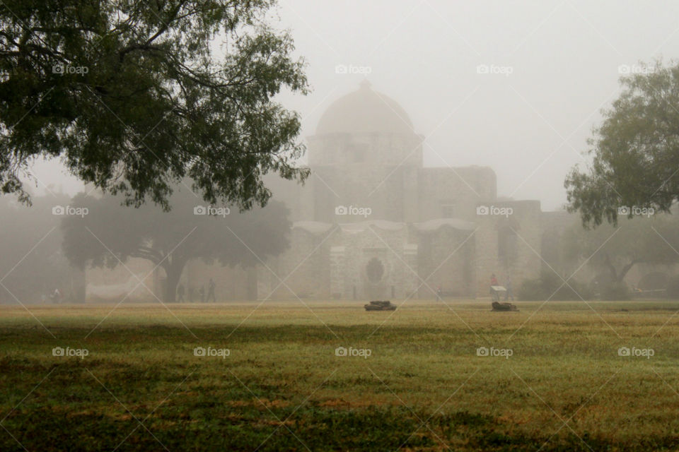 Foggy Misty Morning