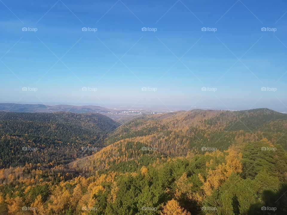 пейзажное фото, лес с высоты птичьего полета