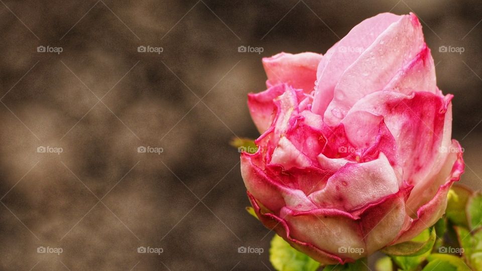 Experimentando
Experiencing