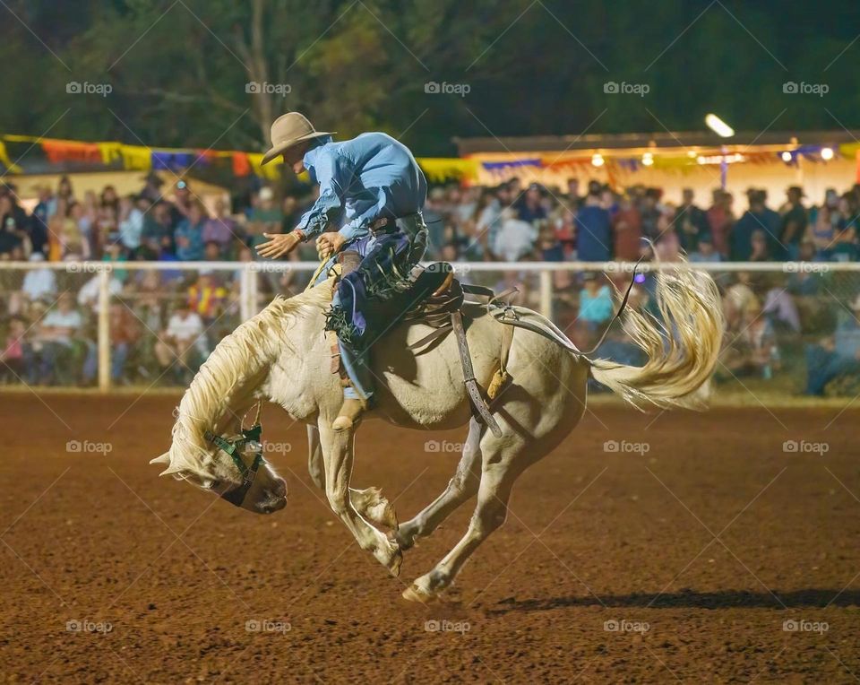 Saddle Bronc