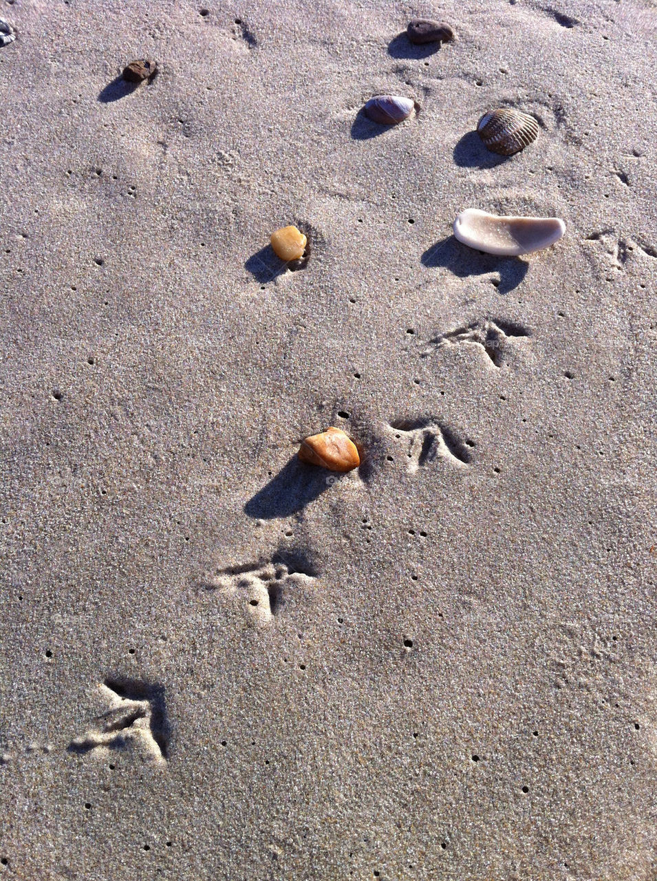beach sand footprints tracks by axiology