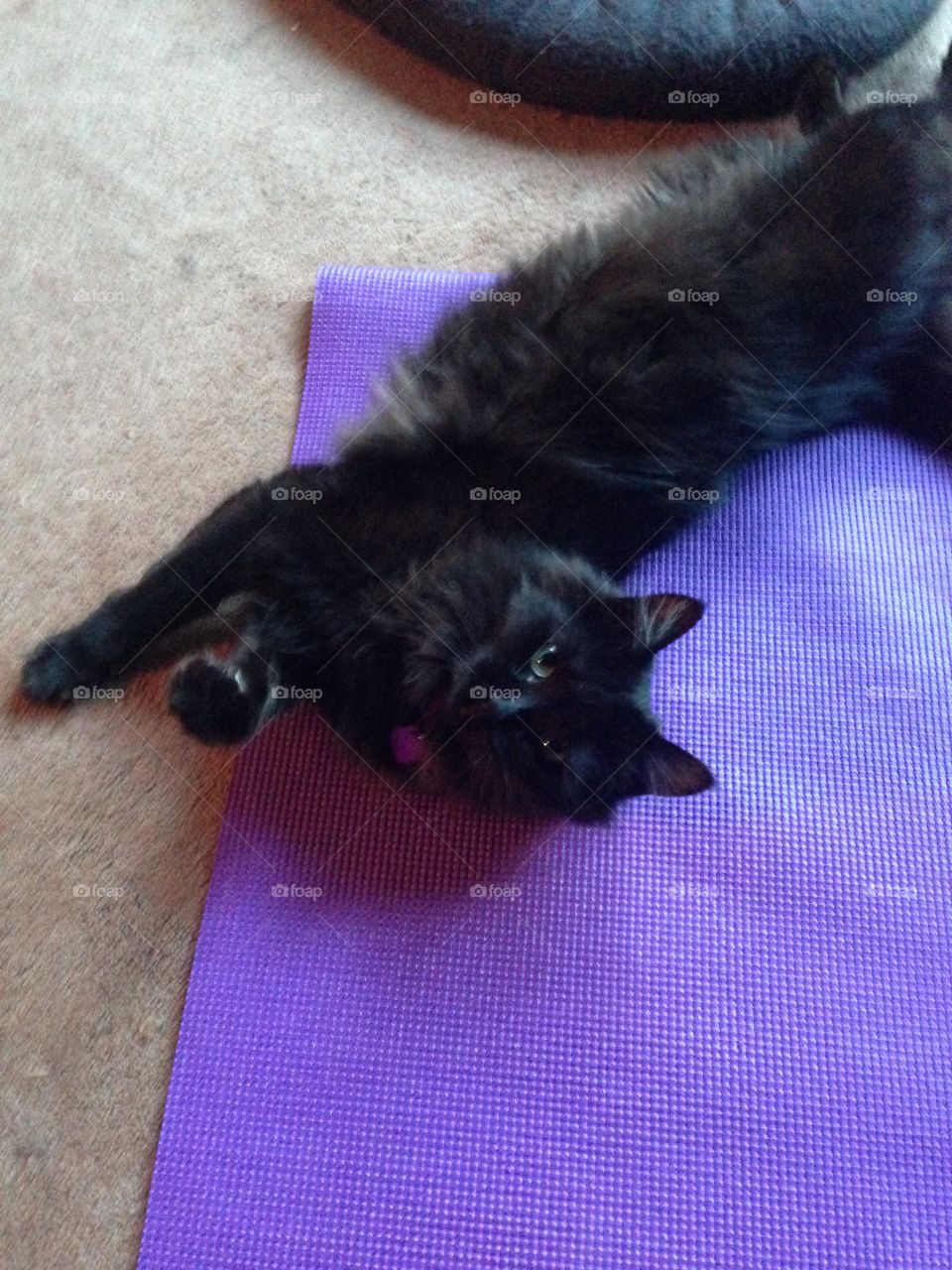 I'll help you do your yoga! 