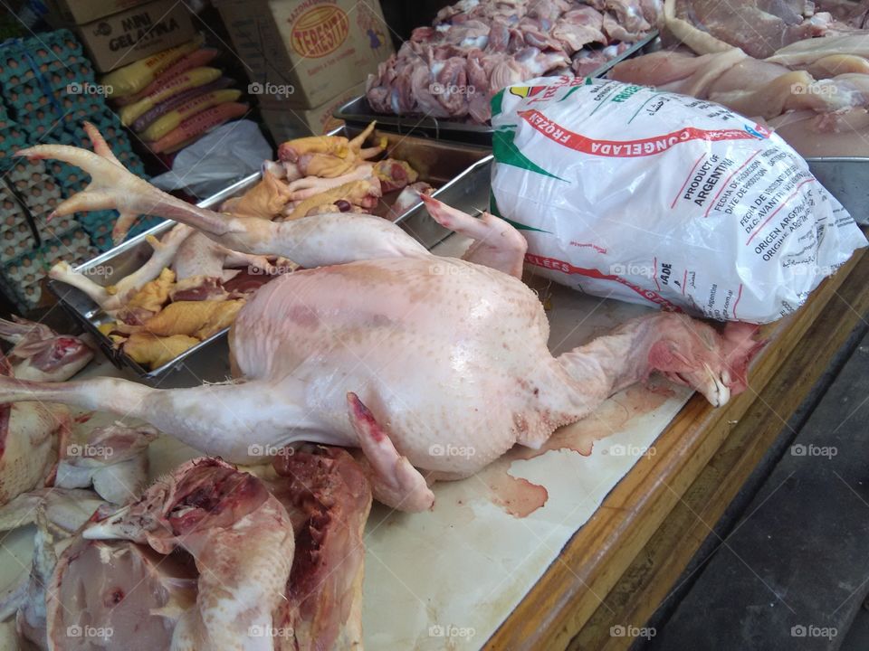 chicken, bird, dead, pollo, ave, muerto