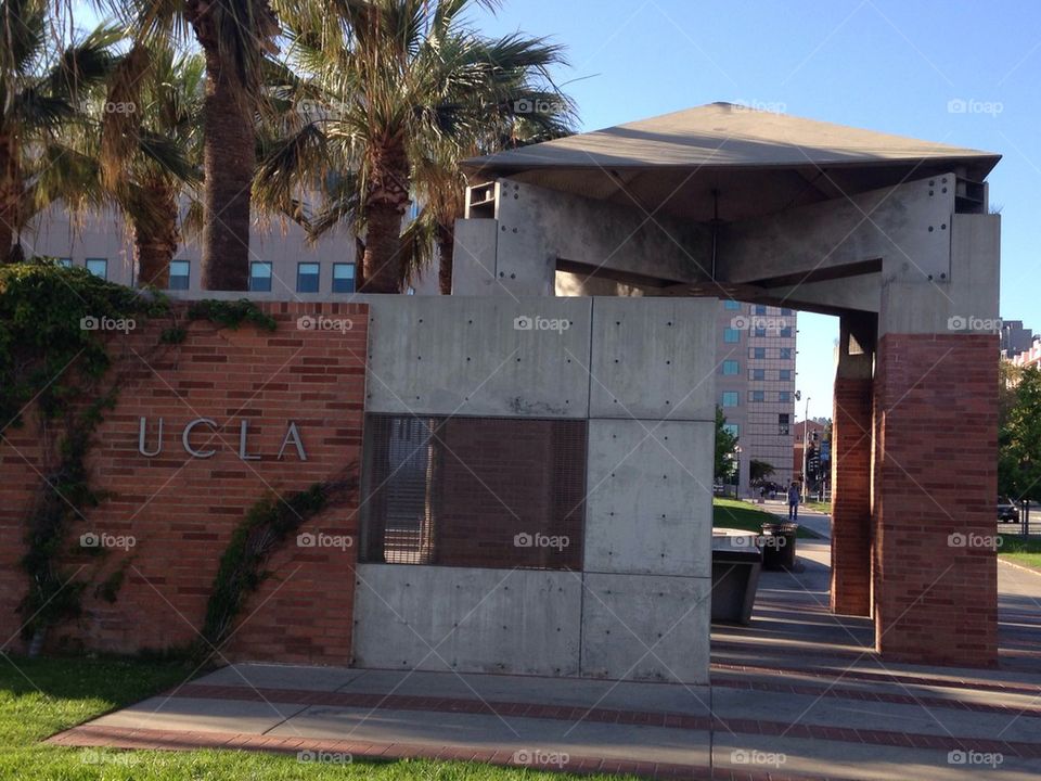 UCLA