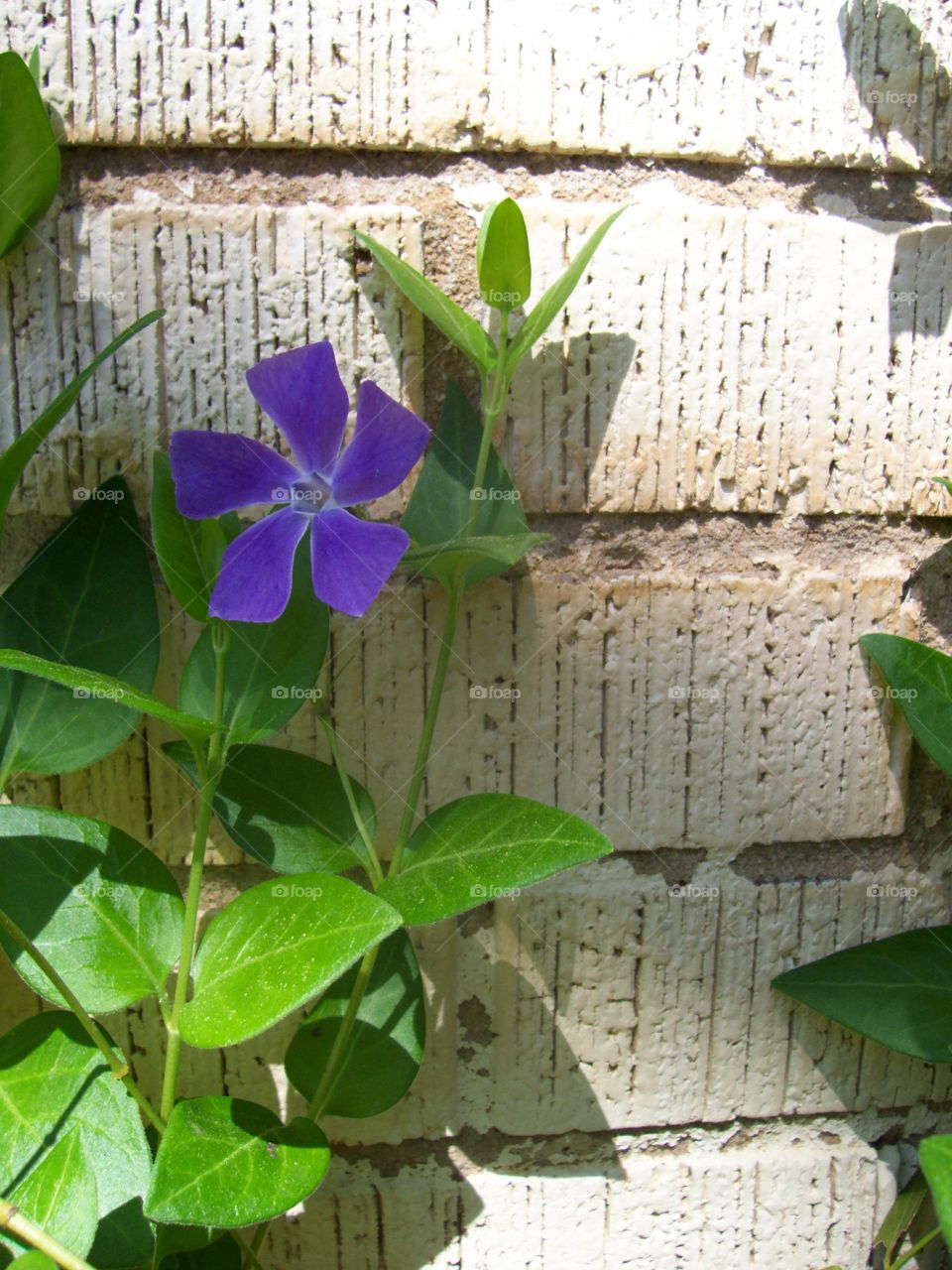 brick flower