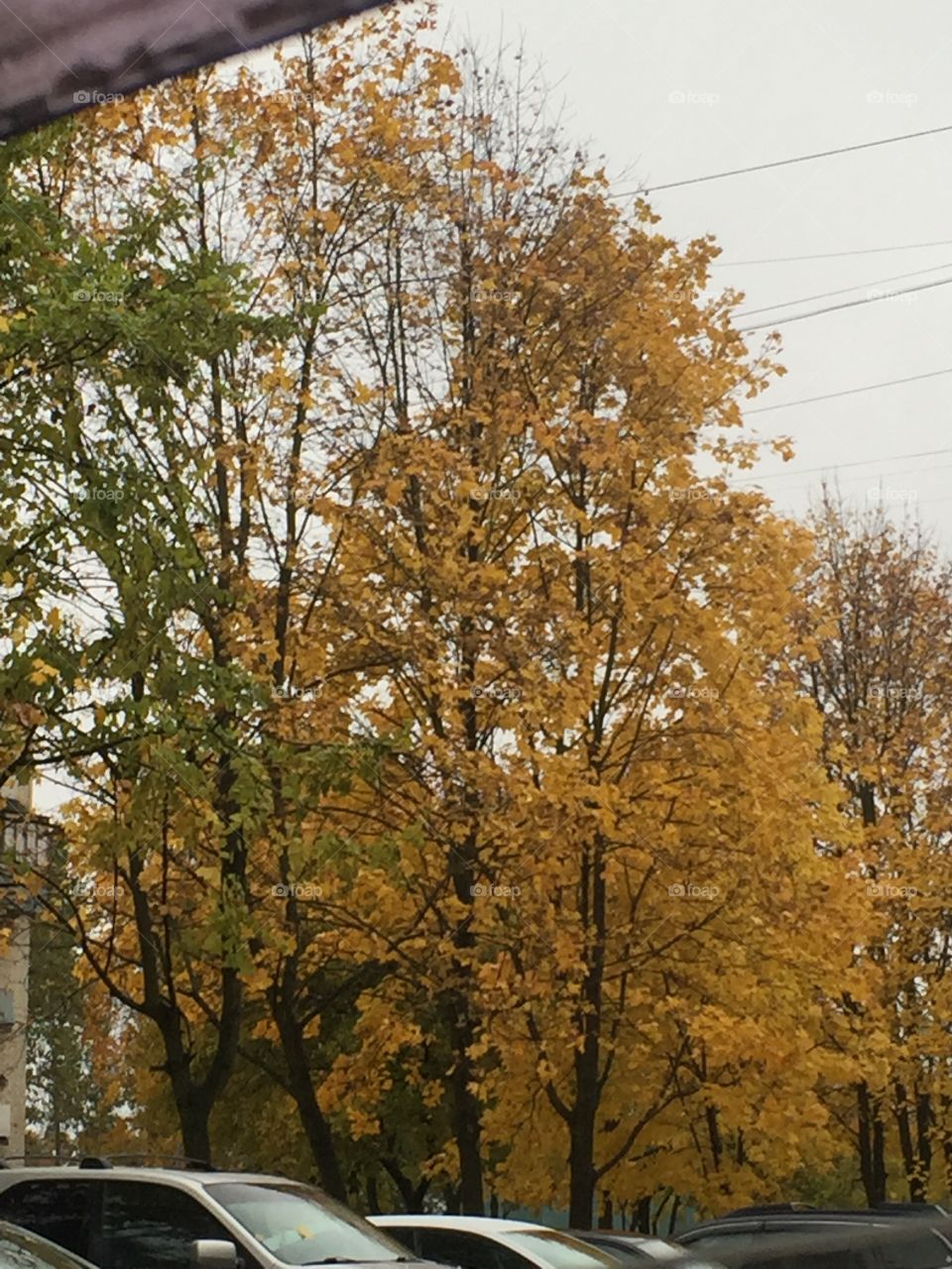 Осень 