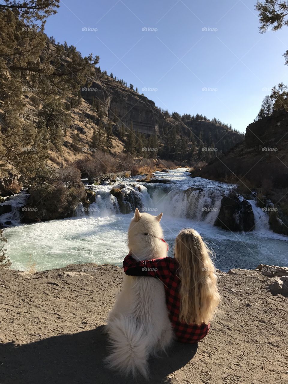 Steelhead falls in Oregon. Girl and her dog enjoying the beauty. 