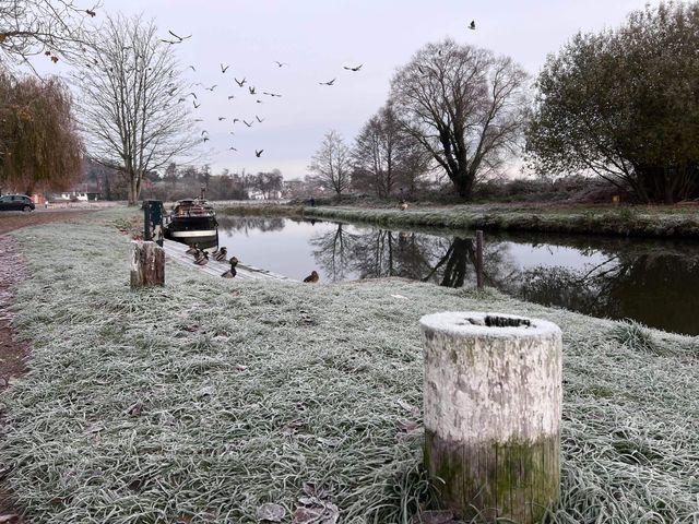 ❄️