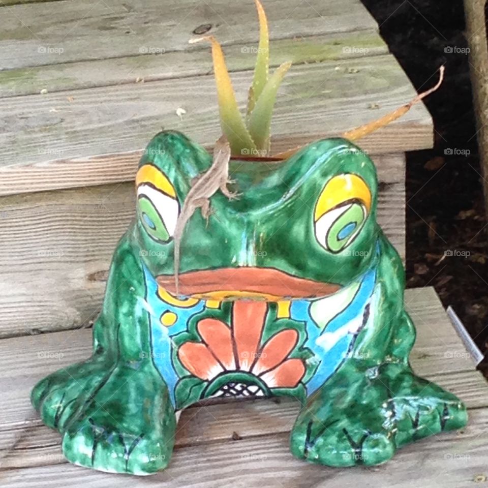 Art, ceramic frog with lizard on top